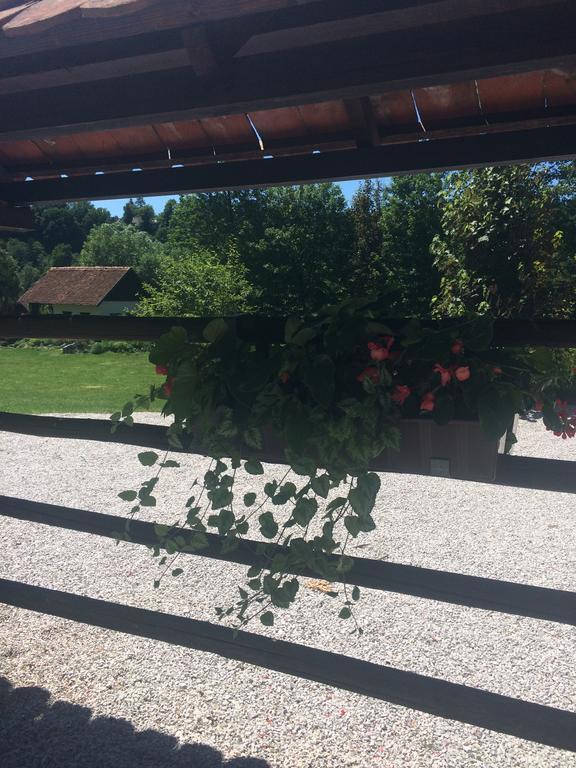 Gostisce Smuk Hotel Križe Eksteriør billede